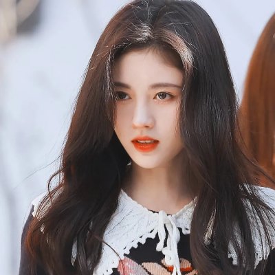鬣狗之路